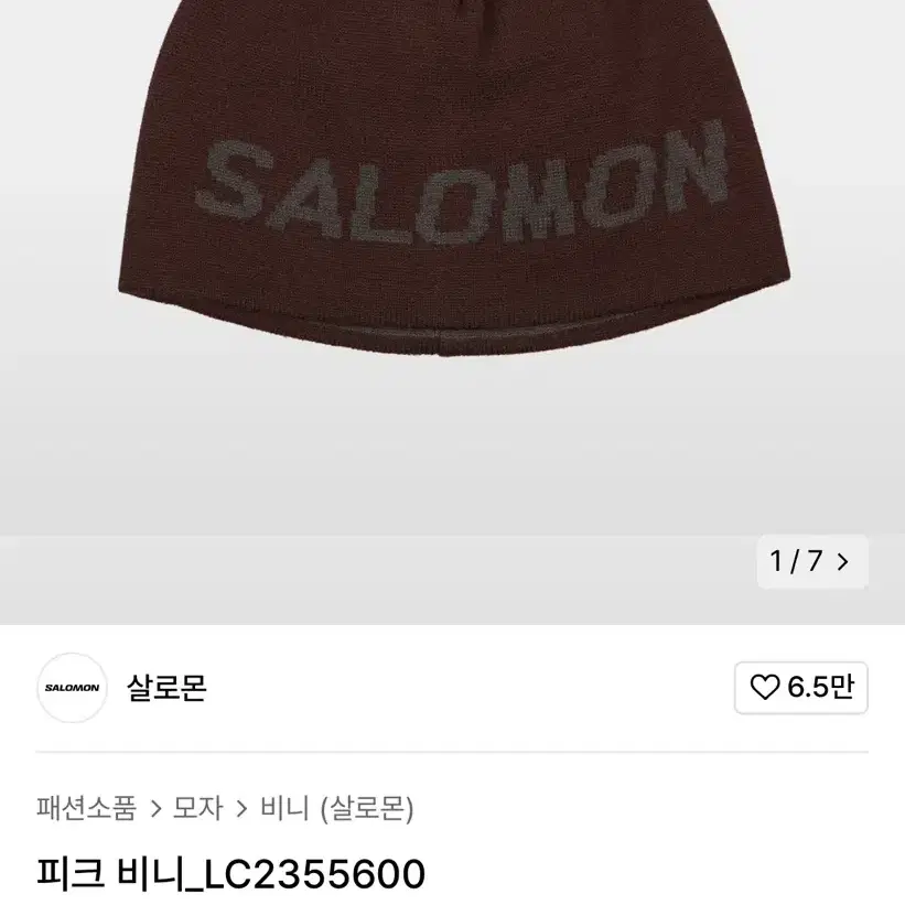 살로몬 피크 비니_LC2355600