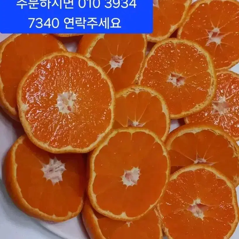 맛이 보장한 타이벡감귤.10키로 26000원