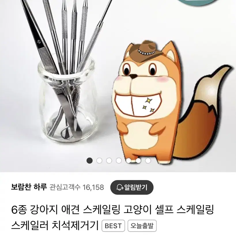 강아지 치석제거기