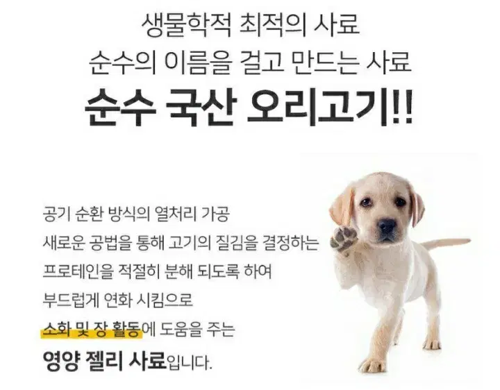 댕댕이들의 안전한 순수사료