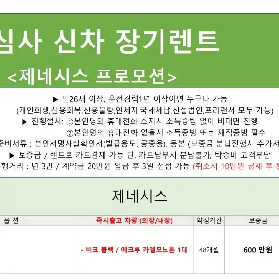 2024년 12월 12일 장기렌트 차량 상황