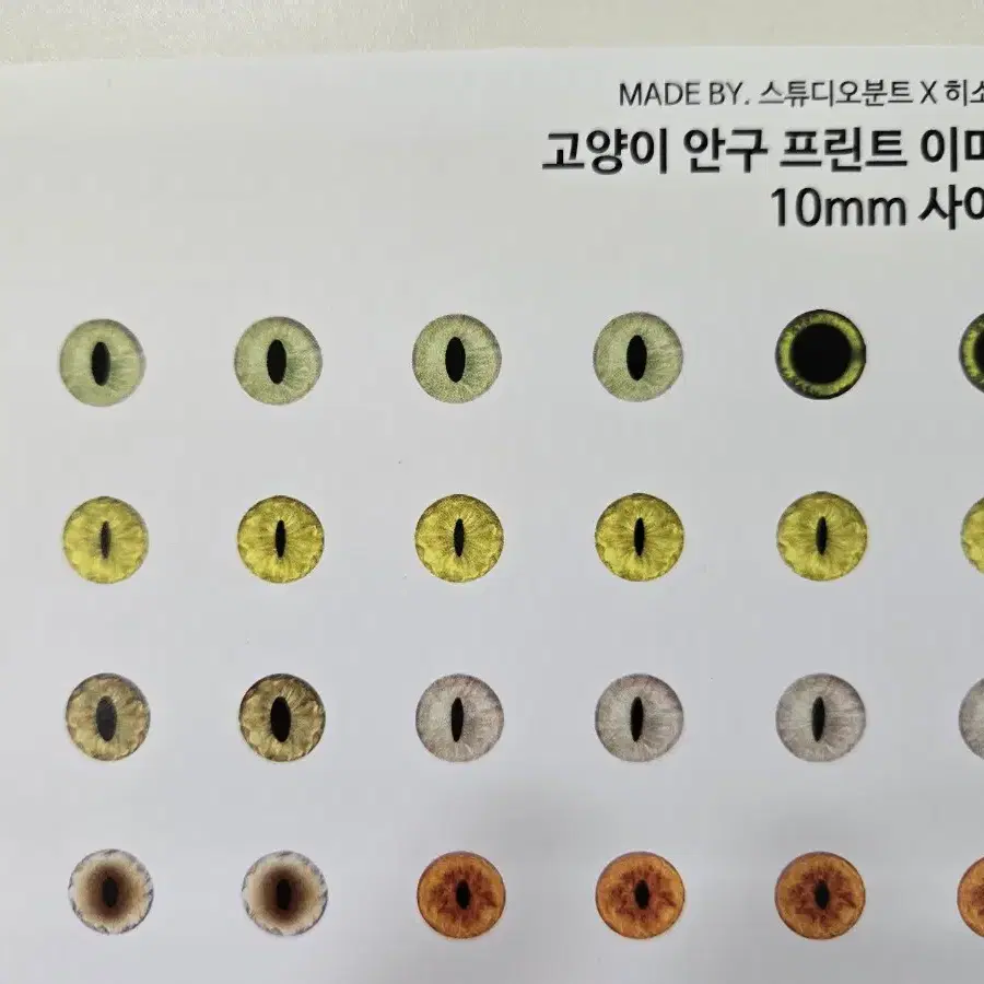 양모펠트 패키지+고양이눈 프린트 등등