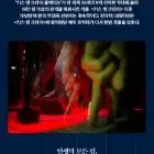 최저가 네고가능 성남아트센터 연극 콜드 블러드 유지태 나레이션