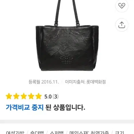 제이에스티나 신민아가방