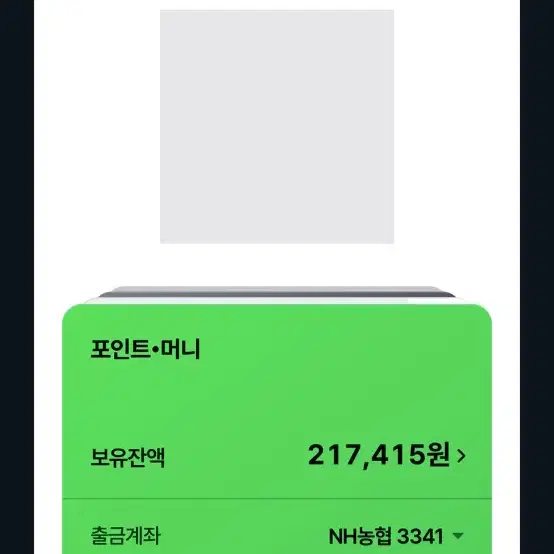 네이버페이 21만7천원 판매