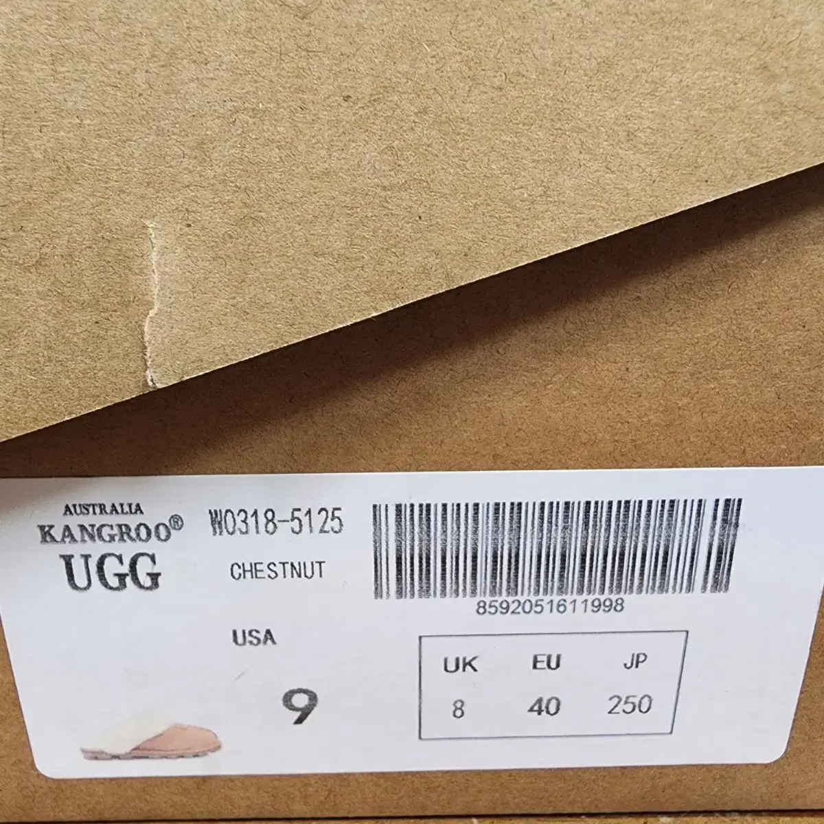 어그 UGG 코케트 털슬리퍼 40(250m/m)