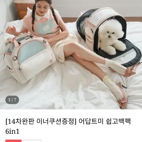 어답트미 쉽고 백팩 반려견 백팩