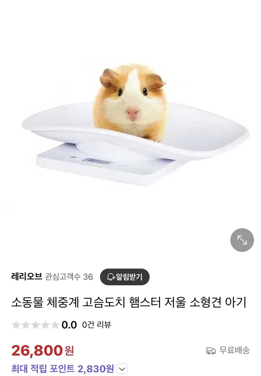 소동물 체중계(저울)