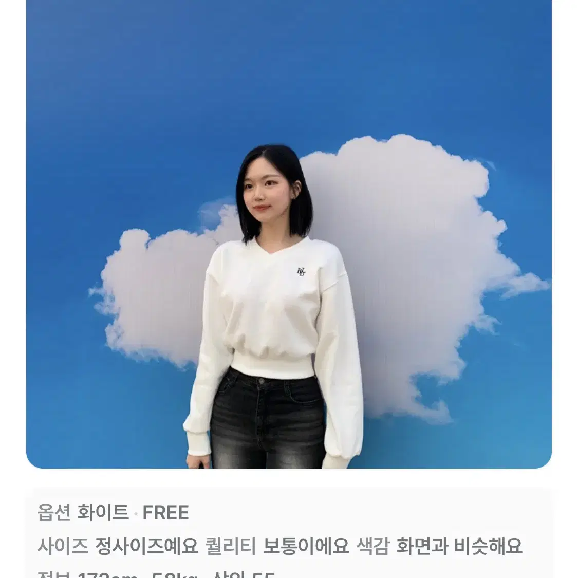 베이델리 양기모 브이넥 맨투맨 아이보리 새상품