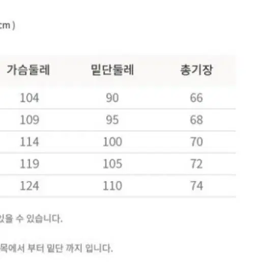 미즈노 지브라 피스테 M 새상품 판매