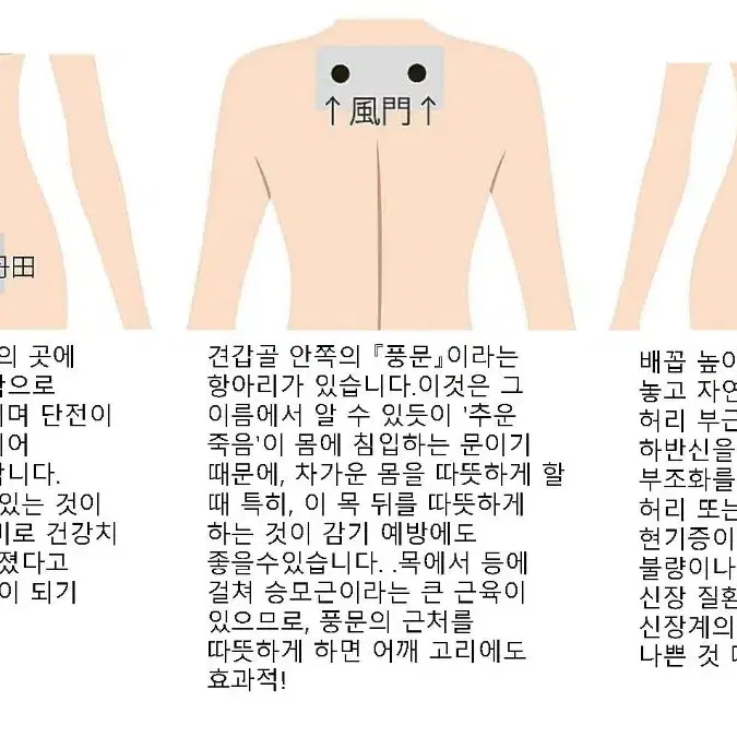 바이오 포톤 히트패치