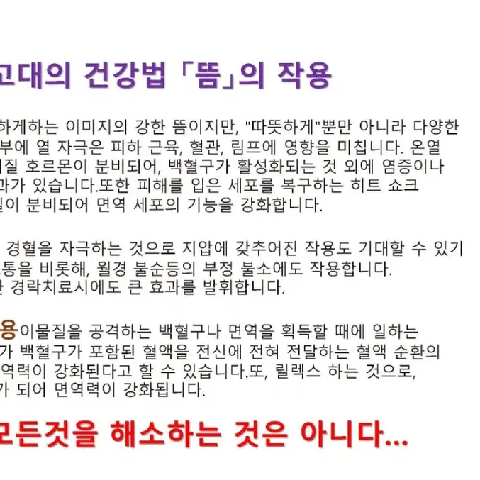 바이오 포톤 히트패치