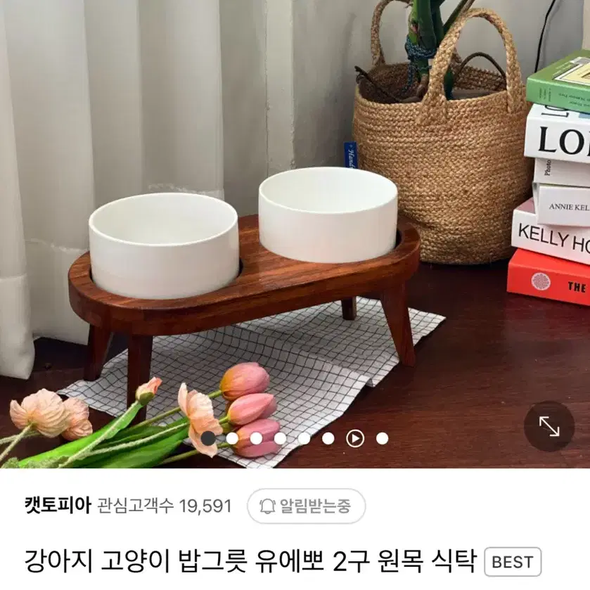 캣토피아 강아지식기 판매합니다