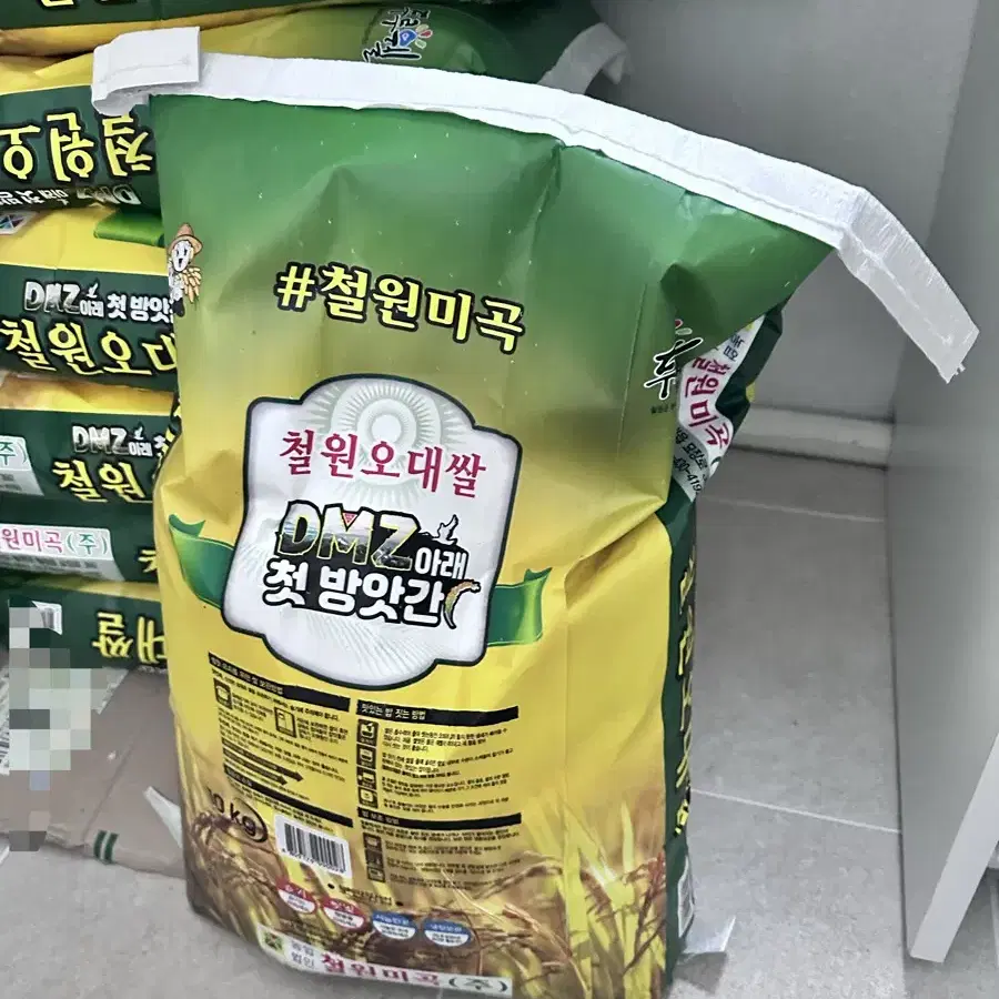 햅쌀 백미 철원오대쌀 10KG