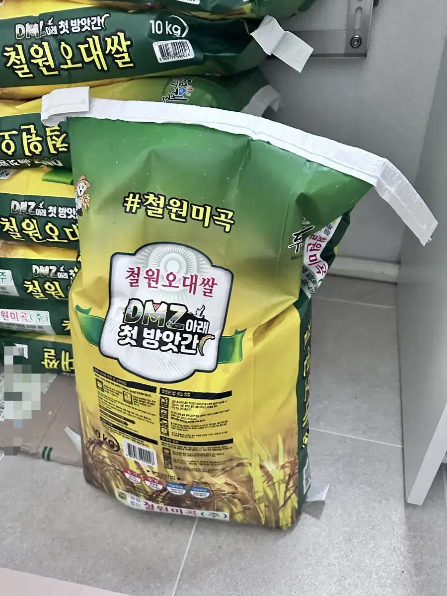 햅쌀 백미 철원오대쌀 10KG