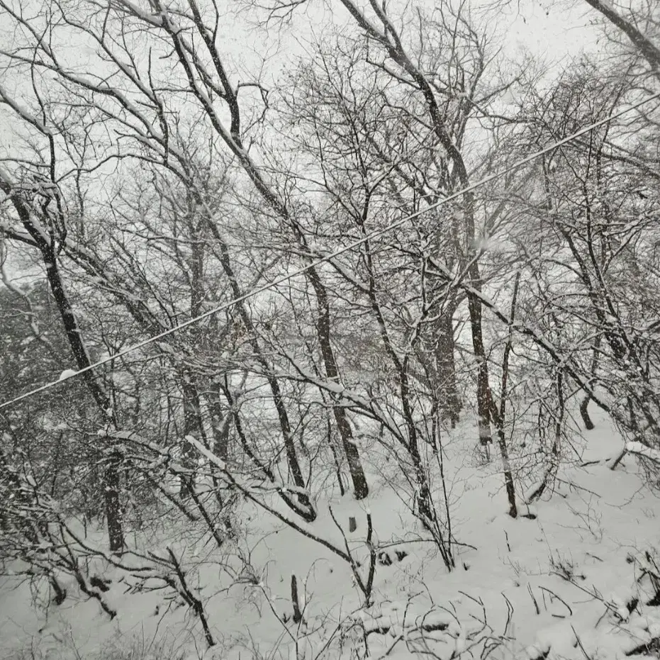 극세사 수건 미용실수건 업소수건