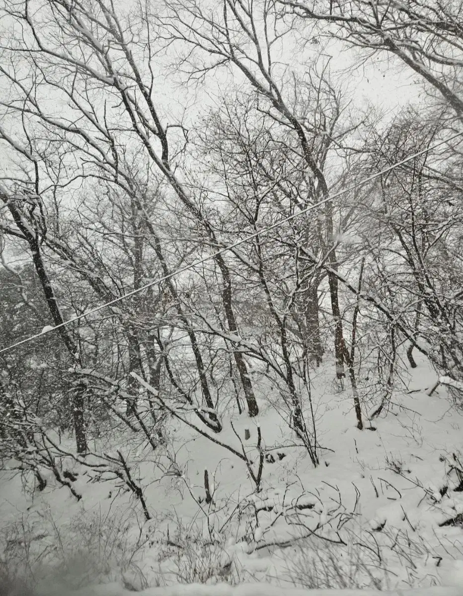 극세사 수건 미용실수건 업소수건