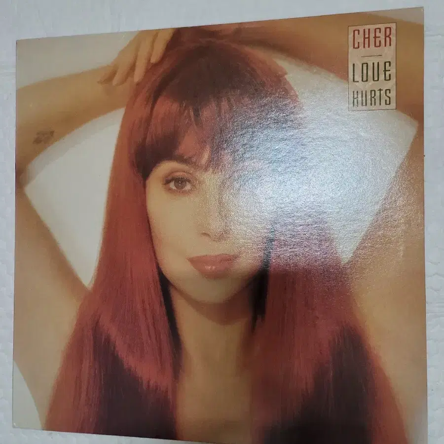 CHER LP 1991년