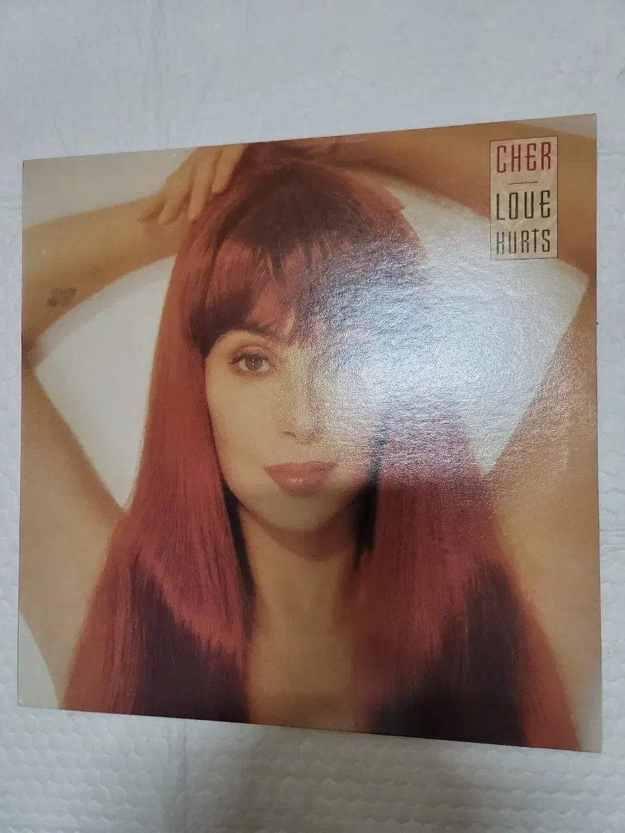 CHER LP 1991년