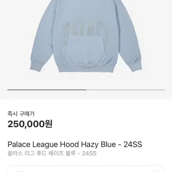 팔라스 후드티 110 XXL