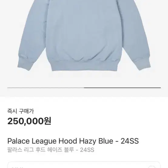 팔라스 후드티 110 XXL