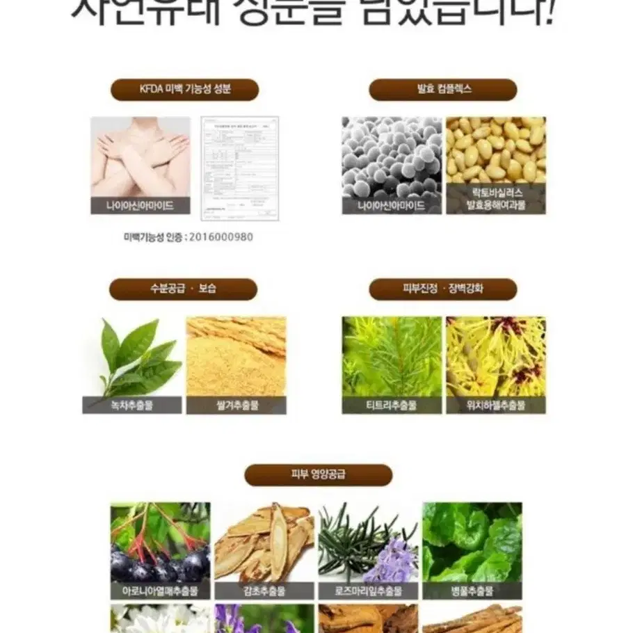 바디미백로션