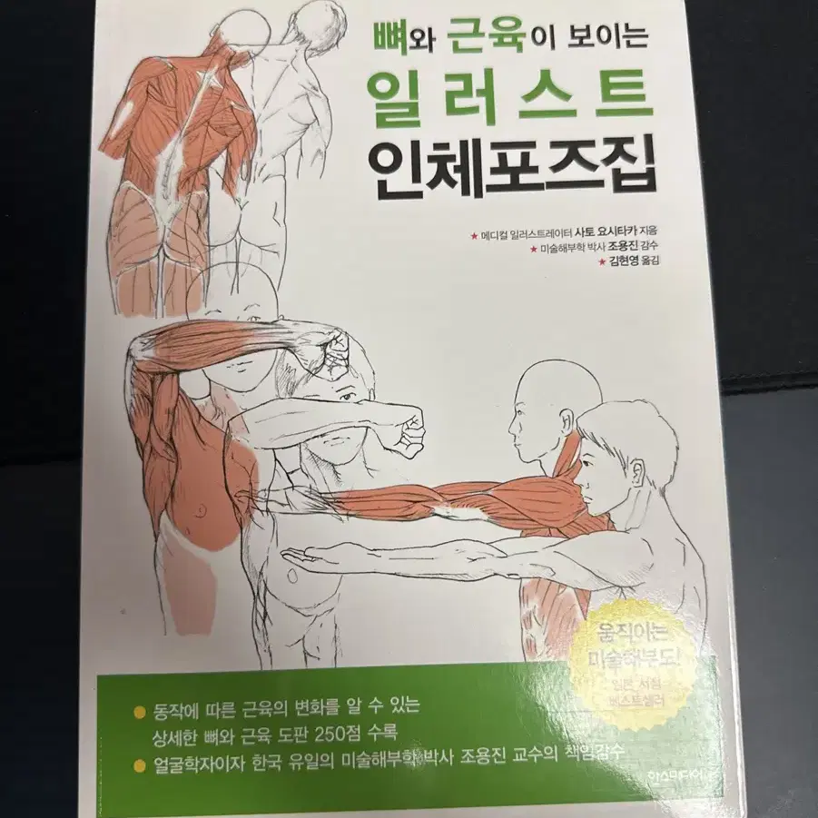 뼈와 근육이 보이는 일러스트 인체포즈집