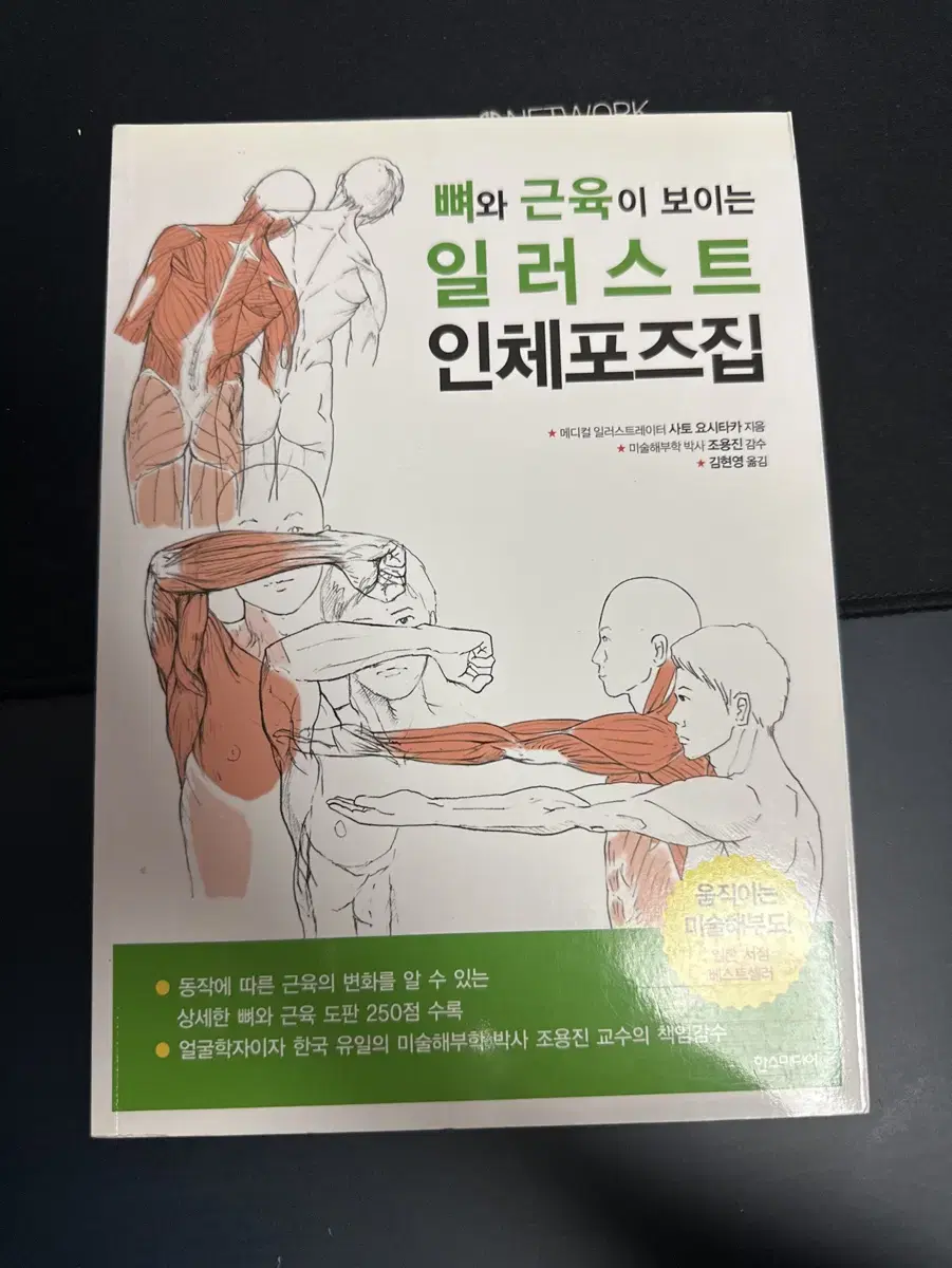 뼈와 근육이 보이는 일러스트 인체포즈집