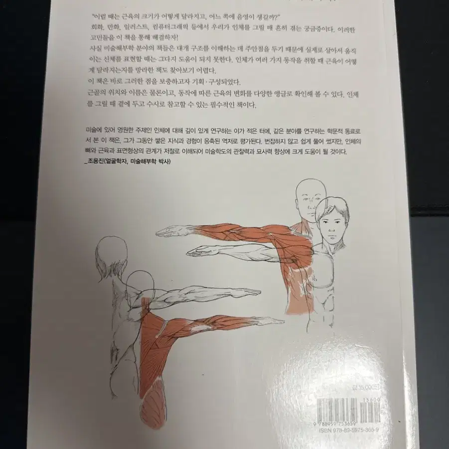 뼈와 근육이 보이는 일러스트 인체포즈집