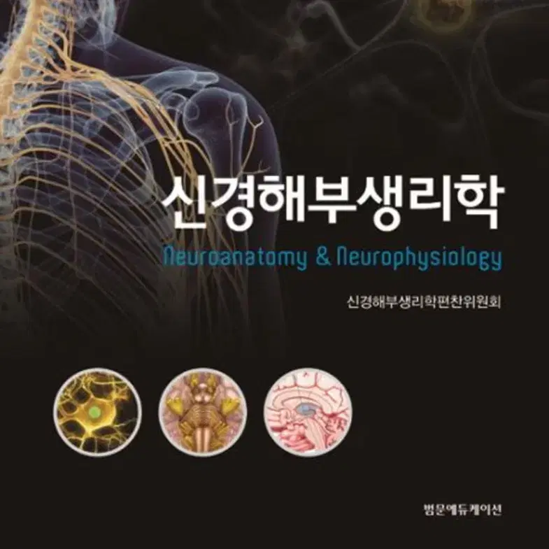 신경해부생리학+PDF