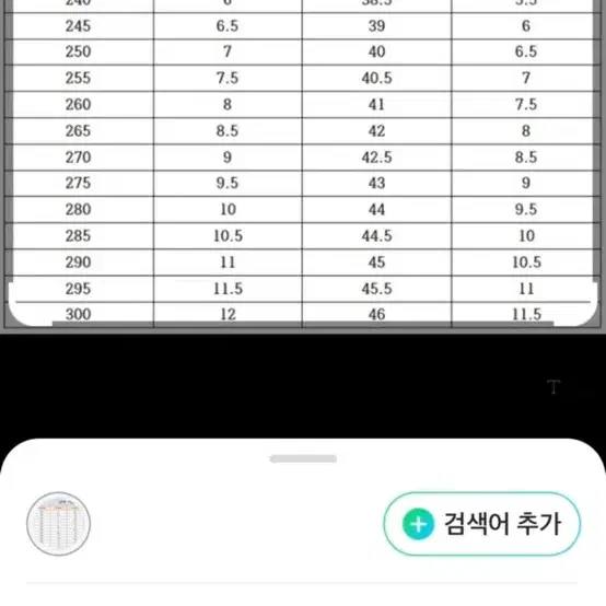 290) 페드로 신발