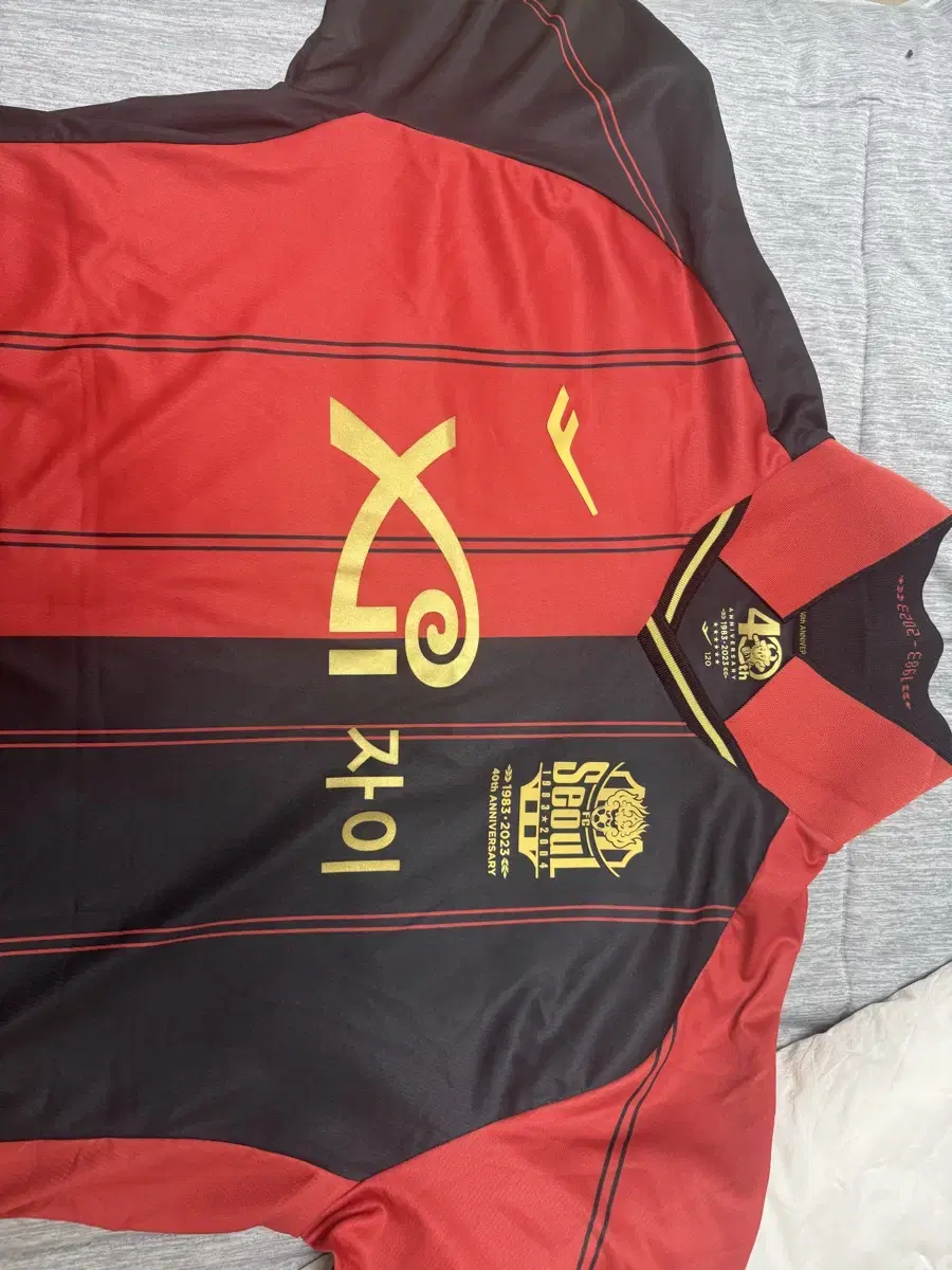 FC Seoul 23rd Season Home 120 Nasangho Marking