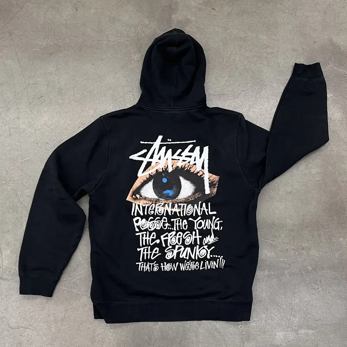 STUSSY OCULAR HOODIE