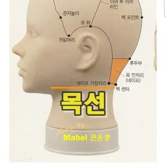 비비아트 그래쥬 통가발