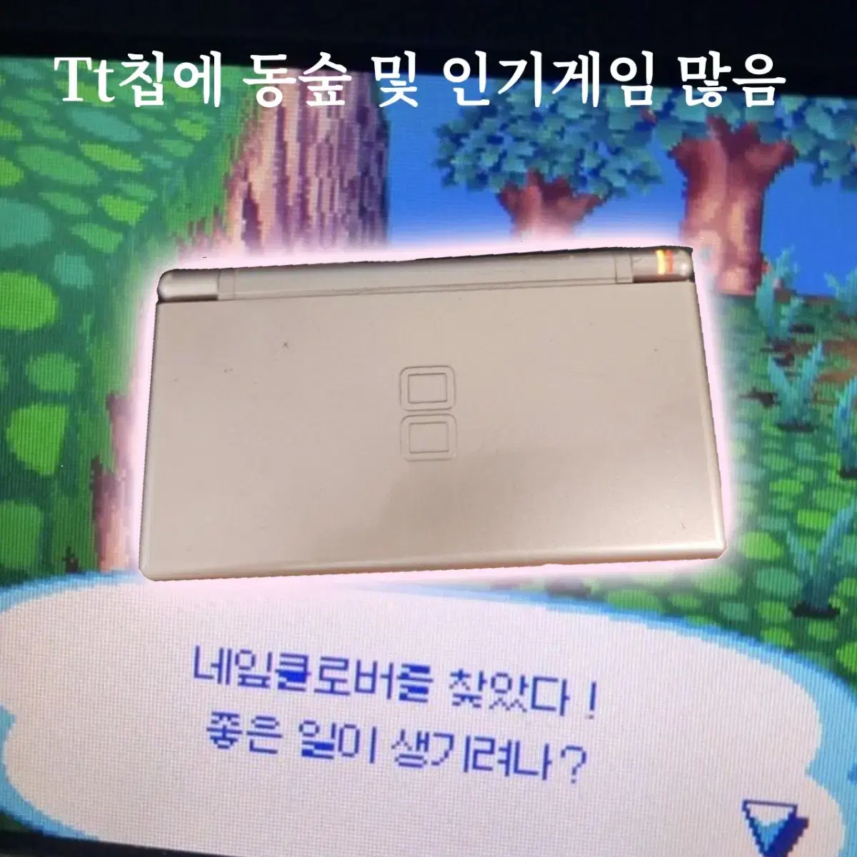 닌텐도 ds lite 동숲포함 충전기펜 포함