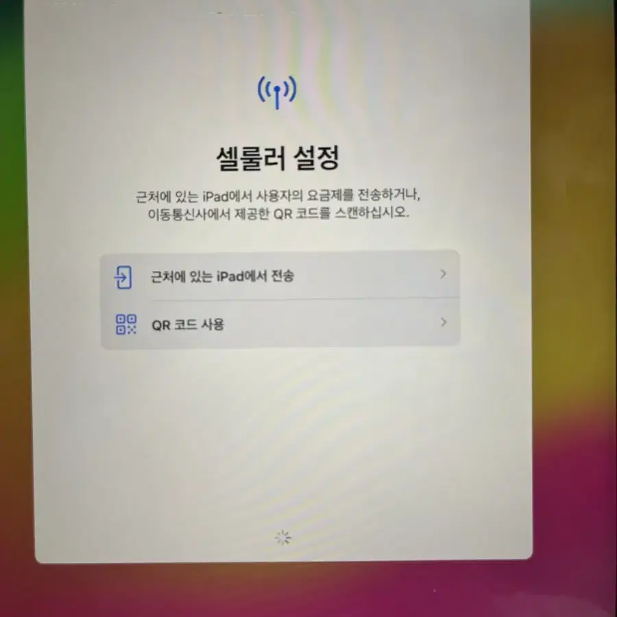 아이패드 프로 3세대 11인치 셀룰러