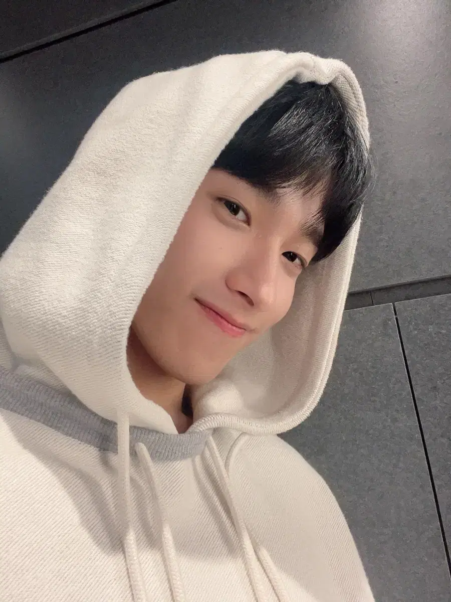 세븐틴 도겸 인형 겸도그