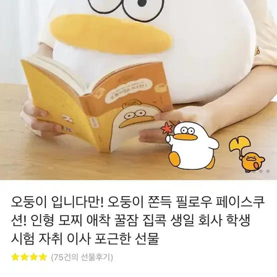 오둥이 페이스쿠션 새상품