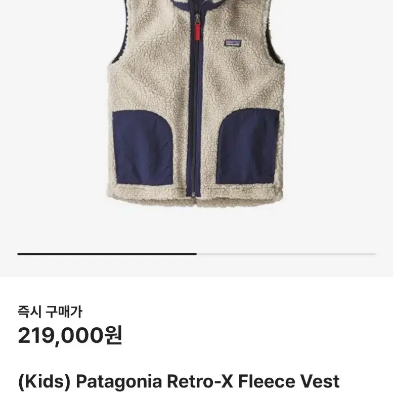 파타고니아 레트로 엑스 플리스 베스트 XXL