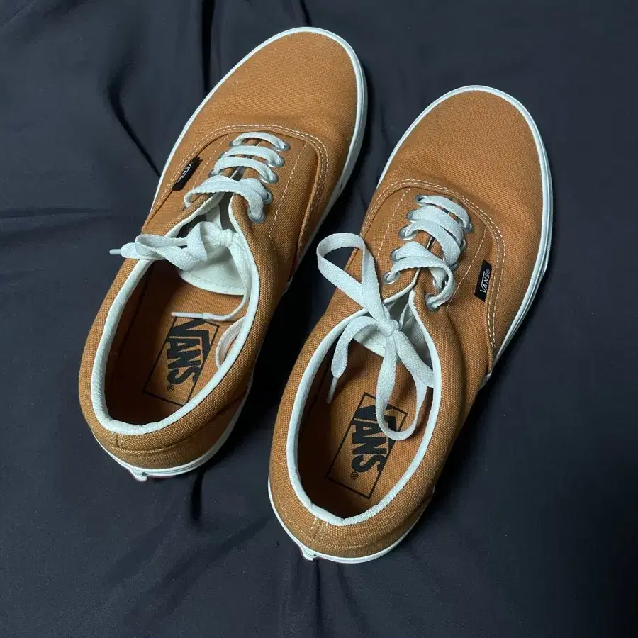 Vans 반스 신발 (260)