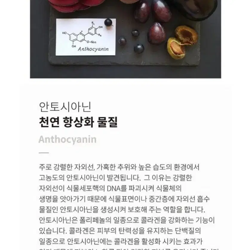 (무료배송) 리페어크림