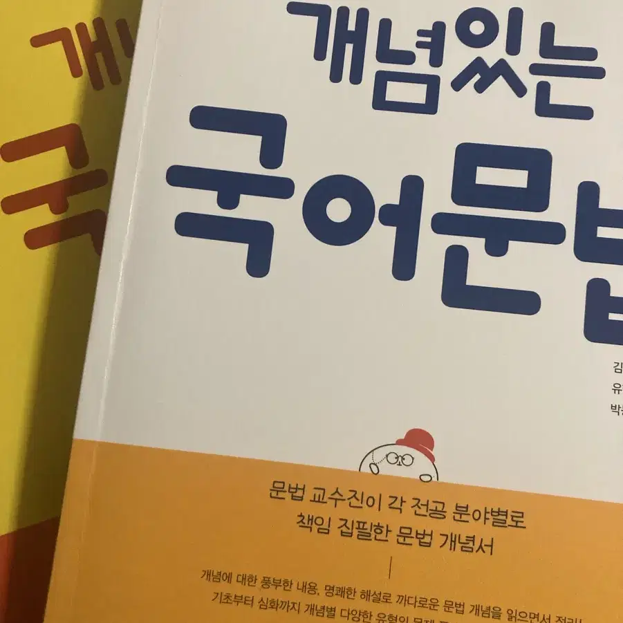 개념있는 국어문법 2권