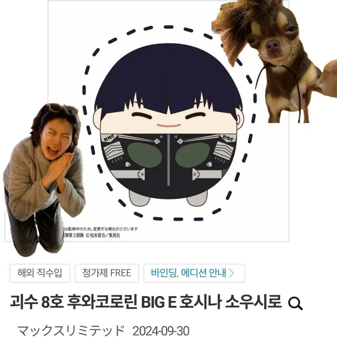 (간절하게구함)괴수 8호 호시나 후와코로링 빅 BIG