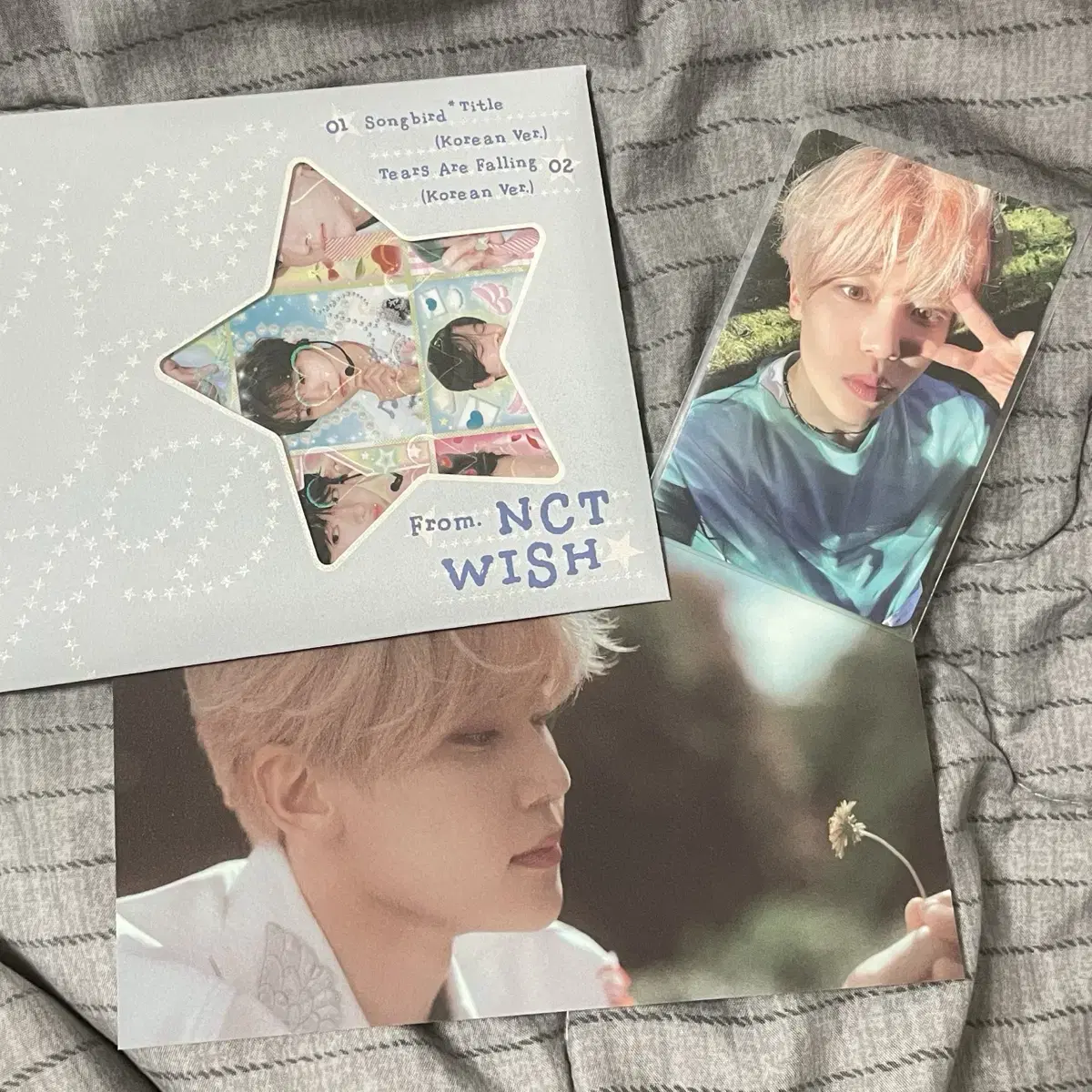 nct wish songbird sion full set photocard album