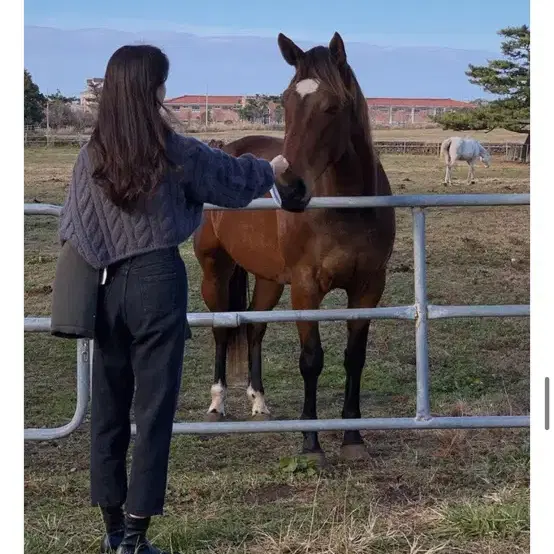 예모마일 바지