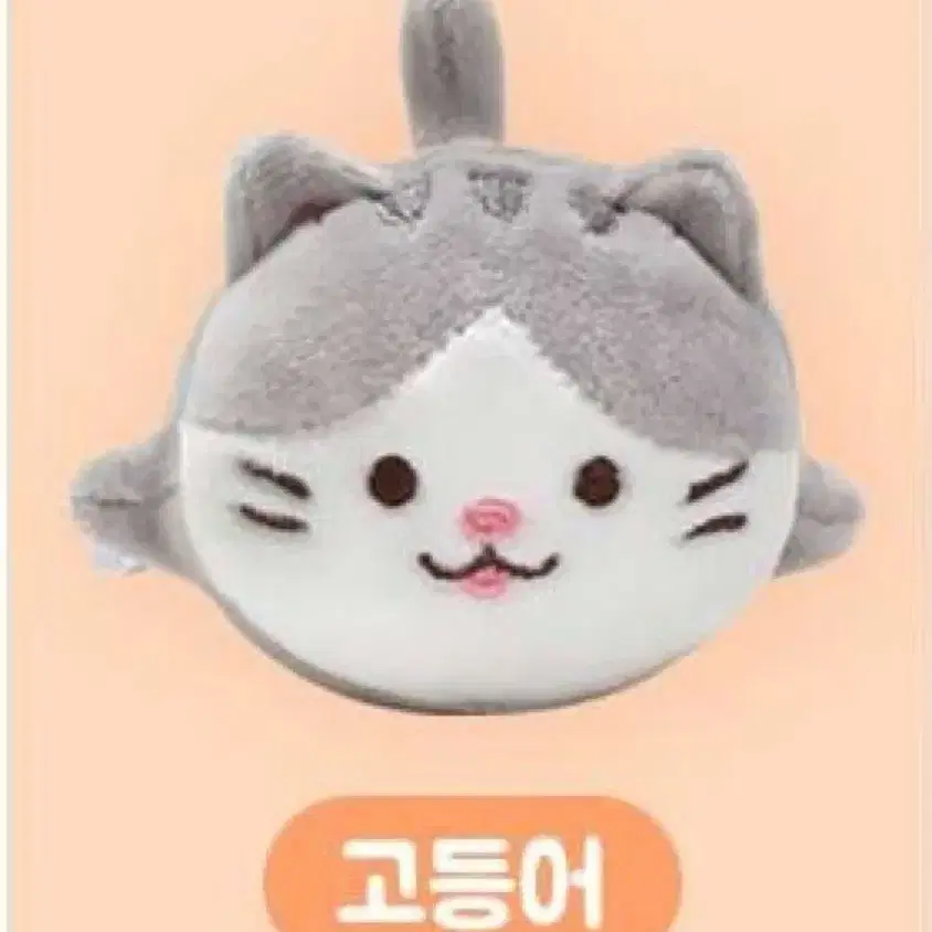 고양이 말랑이