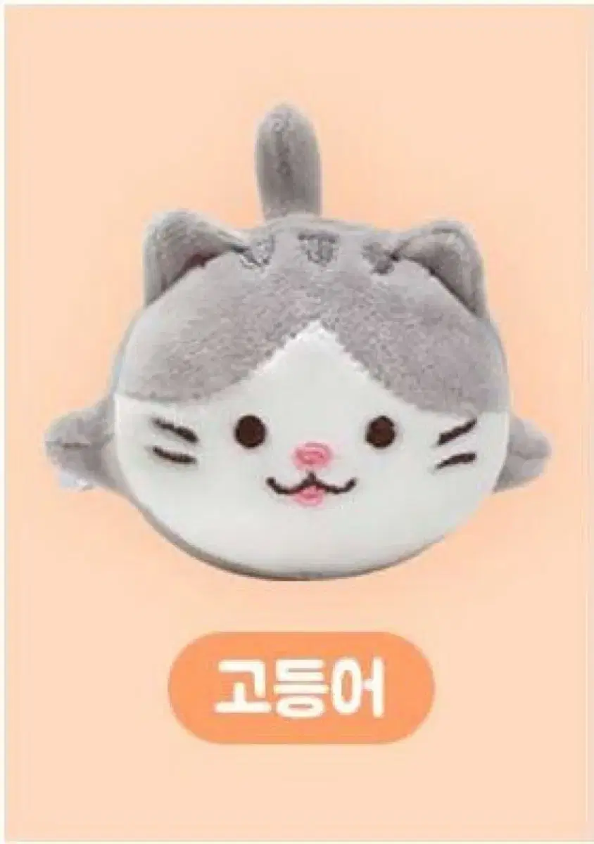 고양이 말랑이