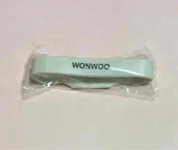 원우 바로 여기 러버 밴드