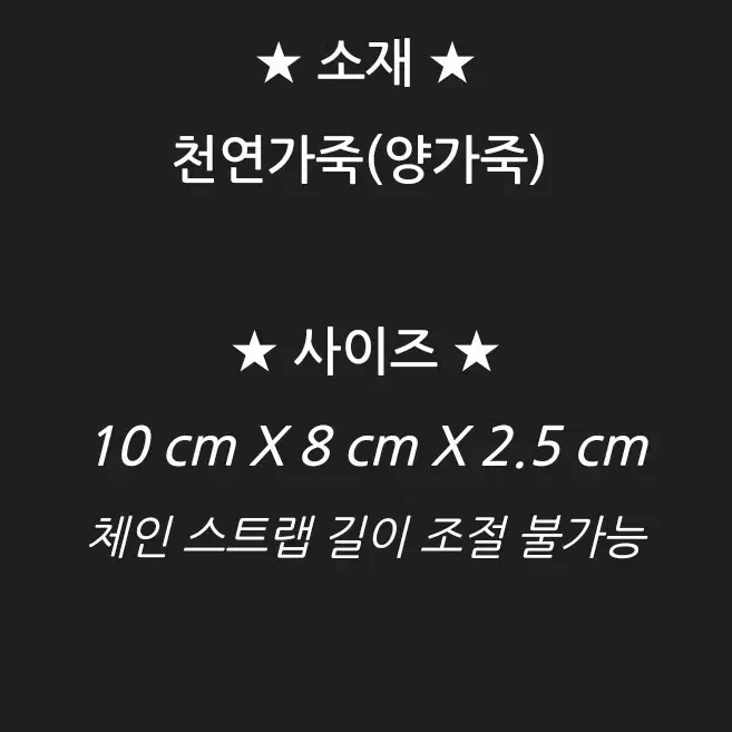 생로랑 마이크로 가비백