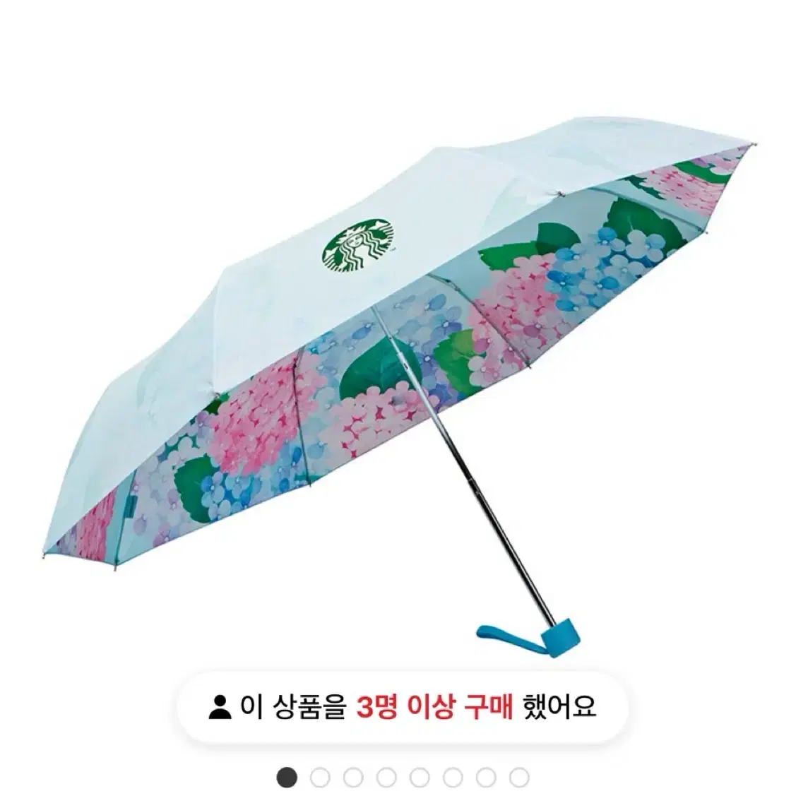 스타벅스 제주 수국 양우산